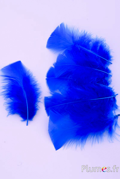 Dinde - 6-8 cm - bleu